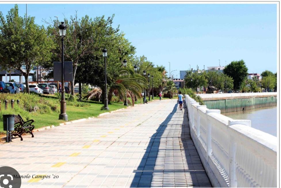 Ribera House Sevilla Coria del Río Zewnętrze zdjęcie